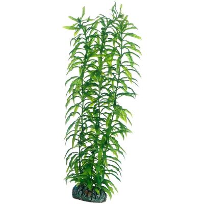 Hobby Heteranthera Grün 34cm - Dekorativ Pflanze Hobby Heteranthera Grün 34cm - Dekorativ Pflanze