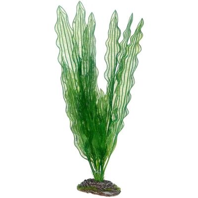 Dohse Aponogeton 39cm - Décoration d'Aquarium - Publicité Dohse Aponogeton 39cm - Décoration d'Aquarium - Publicité