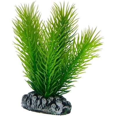 HOBBY Mayaca 7 cm - Aquarium Pflanze - Künstlich mit Felsenbasis HOBBY Mayaca 7 cm - Aquarium Pflanze - Künstlich mit Felsenbasis