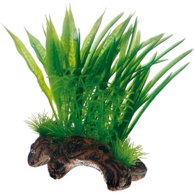 Hobby Dekor Flora Root 1 Zielony S - Dekoracja do akwarium Hobby Dekor Flora Root 1 Zielony S - Dekoracja do akwarium