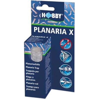 HOBBY Akvarium Planaria X Fälla - Fälla för planaria HOBBY Akvarium Planaria X Fälla - Fälla för planaria