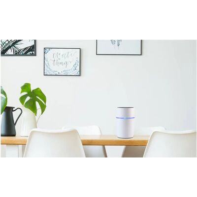 Grothe CALIMA 800 Set campanello Bluetooth senza fili - Sistema di citofono e campanello wireless Grothe CALIMA 800 Set campanello Bluetooth senza fili - Sistema di citofono e campanello wireless