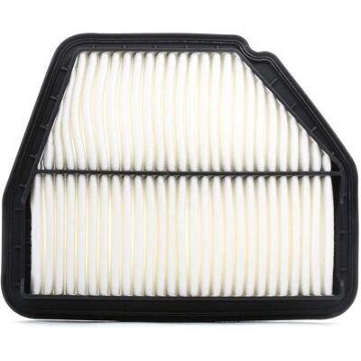 MANN-FILTER C29008 - Luftfilter för Opel, Chevrolet, Vauxhall MANN-FILTER C29008 - Luftfilter för Opel, Chevrolet, Vauxhall
