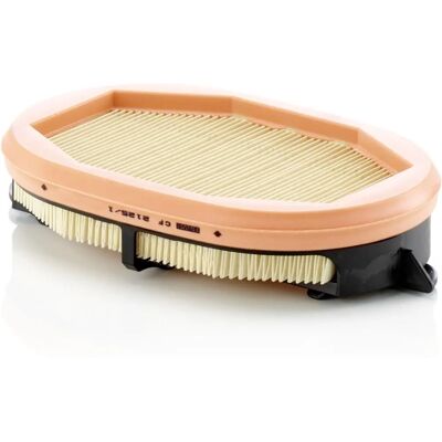 Φίλτρο αέρα δεύτερης γενιάς MANN-FILTER CF 2125/1 για CLAAS - Φίλτρο αέρα δεύτερης γενιάς Φίλτρο αέρα δεύτερης γενιάς MANN-FILTER CF 2125/1 για CLAAS - Φίλτρο αέρα δεύτερης γενιάς