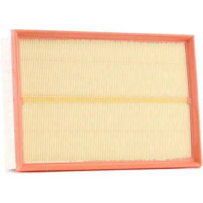 MANN-FILTER Filtro aria C 30 011 - Filtro aria per Opel Movano B, Renault Master III, Nissan Nv400 MANN-FILTER Filtro aria C 30 011 - Filtro aria per Opel Movano B, Renault Master III, Nissan Nv400