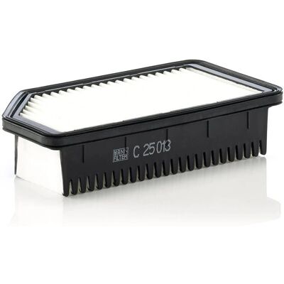 MANN-FILTER C 25 013 - Filtro aria per Kia Rio III 1.2 CVVT MANN-FILTER C 25 013 - Filtro aria per Kia Rio III 1.2 CVVT