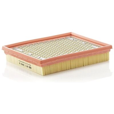MANN-FILTER C 2452 - Filtro de ar Chevrolet Trans Sport, Opel Sintra, Cadillac Seville V MANN-FILTER C 2452 - Filtro de ar Chevrolet Trans Sport, Opel Sintra, Cadillac Seville V