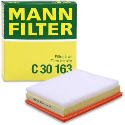 Filtro de aire MANN-FILTER Opel Renault Nissan - C 30 163 1654500Q0H Filtro de aire MANN-FILTER Opel Renault Nissan - C 30 163 1654500Q0H
