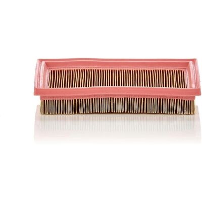 MANN-FILTER C 2244 - Filtro aria MANN-FILTER C 2244 - Filtro aria