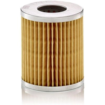 MANN-FILTER C 7131 - Luftfilter MANN-FILTER C 7131 - Luftfilter