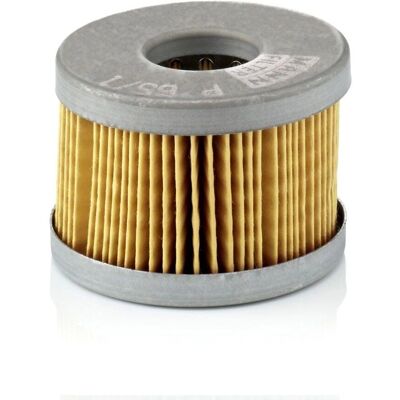 MANN-FILTER Brandstoffilter P 65/1 x - Voor Land Rover, Jaguar, Daimler MANN-FILTER Brandstoffilter P 65/1 x - Voor Land Rover, Jaguar, Daimler