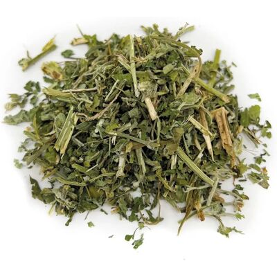 Aumüller 10g Erba gatta - Naturale, Fresca, Qualità tedesca Aumüller 10g Erba gatta - Naturale, Fresca, Qualità tedesca