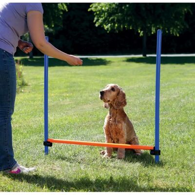 Attrezzatura Agilità Cane TRIXIE - Plastica, Portatile, Regolabile Attrezzatura Agilità Cane TRIXIE - Plastica, Portatile, Regolabile