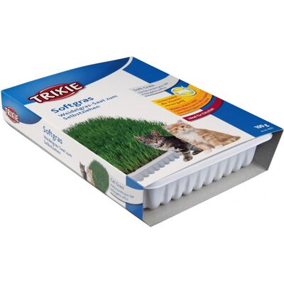 Semences d'Herbe à Chat Trixie - Vert pour Chats - Publicité Semences d'Herbe à Chat Trixie - Vert pour Chats - Publicité