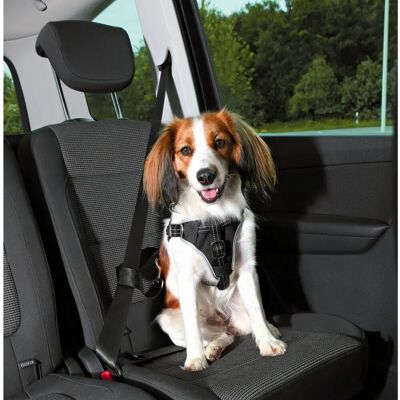 Trixie czarny pas dla psa S/M do samochodu - Pas bezpieczeństwa Trixie czarny pas dla psa S/M do samochodu - Pas bezpieczeństwa
