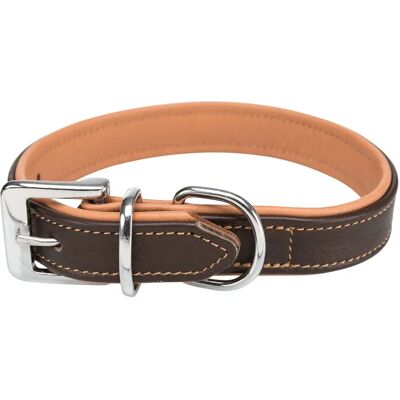 Collare in pelle Trixie Active Comfort - Piccolo - 31–37 cm - Collare per cani Collare in pelle Trixie Active Comfort - Piccolo - 31–37 cm - Collare per cani