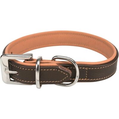 Collare in Pelle Active Comfort Trixie - M - 39–46 cm - Collare per cani Collare in Pelle Active Comfort Trixie - M - 39–46 cm - Collare per cani
