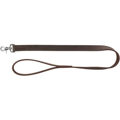 Trixie 18998 Hund/Katze Leine - Robustes Wachsknapp-Leder, 1,20 m Trixie 18998 Hund/Katze Leine - Robustes Wachsknapp-Leder, 1,20 m