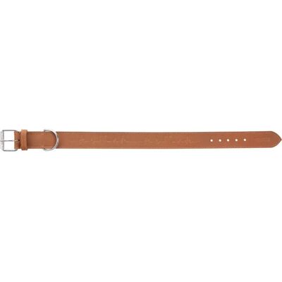 Collar Heartbeat Marrón Trixie - Collar para perro grande - 47-55 cm Collar Heartbeat Marrón Trixie - Collar para perro grande - 47-55 cm