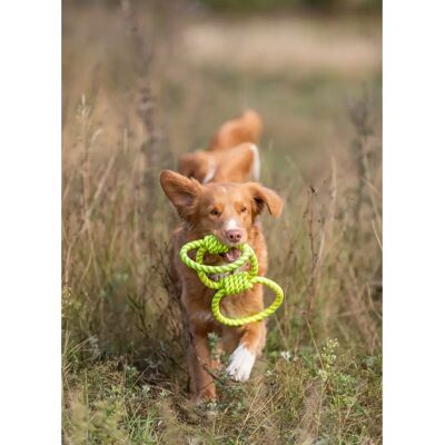 Jucărie pentru câini Trixie 33663 - Coadă rezistentă, Galben-Verde Jucărie pentru câini Trixie 33663 - Coadă rezistentă, Galben-Verde