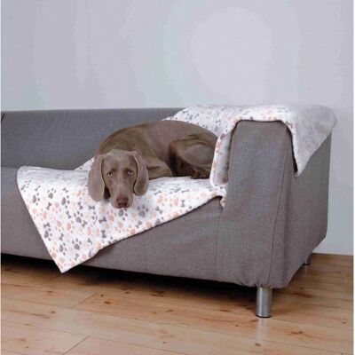 Couverture Trixie Lingo Beige et Blanche - Couverture pour animaux - Publicité Couverture Trixie Lingo Beige et Blanche - Couverture pour animaux - Publicité