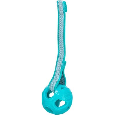 Trixie Hundespielzeug - Türkis - 6cm x 23cm - Hundespielzeug Trixie Hundespielzeug - Türkis - 6cm x 23cm - Hundespielzeug