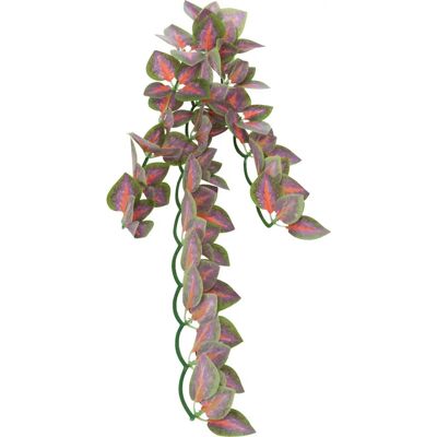 Décoration pour Terrarium Trixie - Plante Suspendue en Soie 20x30cm - Publicité Décoration pour Terrarium Trixie - Plante Suspendue en Soie 20x30cm - Publicité