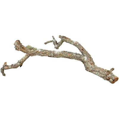Decorazione habitat per piccoli animali - Rami di sughero naturale 90cm Decorazione habitat per piccoli animali - Rami di sughero naturale 90cm