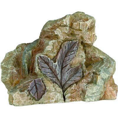 Trixie 6 Fossiler - 8-9 Cm - Fossilset - Vattentäta Trixie 6 Fossiler - 8-9 Cm - Fossilset - Vattentäta