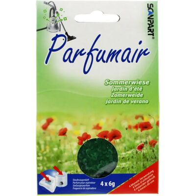 Scanpart 2690040031 - Freshener d'air - Publicité Scanpart 2690040031 - Freshener d'air - Publicité