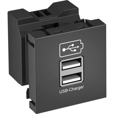 OBO Bettermann - MTG-2UC2.1 SWGR1 - Gris - Chargeur USB OBO Bettermann - MTG-2UC2.1 SWGR1 - Gris - Chargeur USB