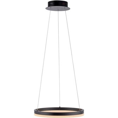 Paul Neuhaus Titus Pendelleuchte - Dimmbar, 40cm, 120cm, Anthrazit Paul Neuhaus Titus Pendelleuchte - Dimmbar, 40cm, 120cm, Anthrazit