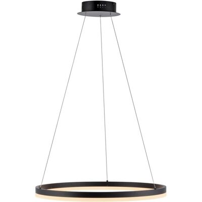 Paul Neuhaus Titus Pendellampe - Varm hvid, 60cm, Justerbar længde Paul Neuhaus Titus Pendellampe - Varm hvid, 60cm, Justerbar længde