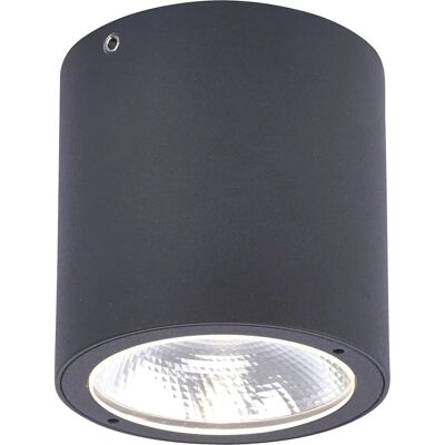Paul Neuhaus Georg Luz de Techo LED - IP54 Exterior Moderno Paul Neuhaus Georg Luz de Techo LED - IP54 Exterior Moderno
