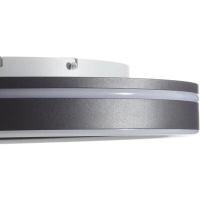 Paul Neuhaus Dark Gray Smart Ceiling Lamp - 59cm - Remote Control Paul Neuhaus Dark Gray Smart Ceiling Lamp - 59cm - Remote Control