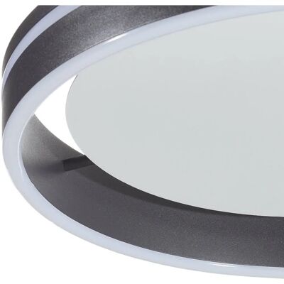 Lámpara de Techo LED de 40cm de Paul Neuhaus, regulable, ZigBee Lámpara de Techo LED de 40cm de Paul Neuhaus, regulable, ZigBee