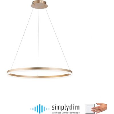 Paul Neuhaus Titus Gold Dimmbar LED Pendelleuchte - Hängeleuchte Paul Neuhaus Titus Gold Dimmbar LED Pendelleuchte - Hängeleuchte
