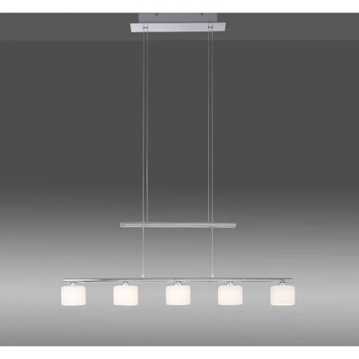 Paul Neuhaus Hydra LED Pendellampe - 5-flammig, höhenverstellbar Paul Neuhaus Hydra LED Pendellampe - 5-flammig, höhenverstellbar