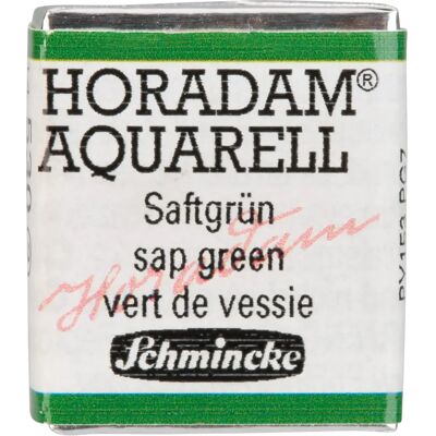 Schmincke - Acquarello Horadam 1/2 Godet Sr.2 - 530-Verde Bosco - peinture aquarelle - Publicité Schmincke - Acquarello Horadam 1/2 Godet Sr.2 - 530-Verde Bosco - peinture aquarelle - Publicité