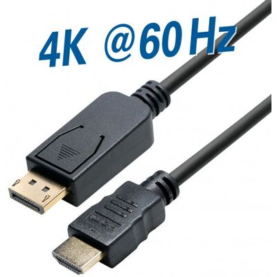 Transmedia C 310-2 Adaptateur de câble vidéo - 2m - DisplayPort HDMI - Noir - Publicité Transmedia C 310-2 Adaptateur de câble vidéo - 2m - DisplayPort HDMI - Noir - Publicité