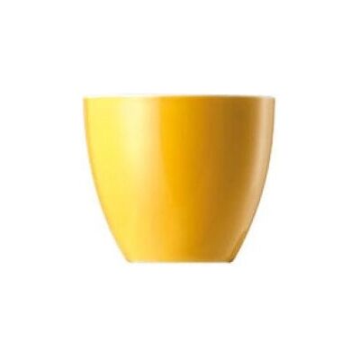 Thomas 10850-408502-15520 Eierbecher - Eierbecher Thomas 10850-408502-15520 Eierbecher - Eierbecher