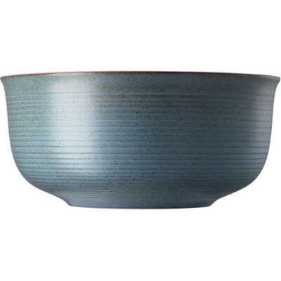 Rosenthal Thomas Water Müsli skål - Skål Rosenthal Thomas Water Müsli skål - Skål