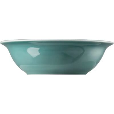 Thomas Cuenco Azul Hielo 17 cm - Porcelana Thomas Cuenco Azul Hielo 17 cm - Porcelana