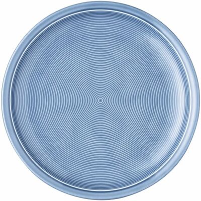 Thomas Arctic Blue 26cm Porcelain Dinner Plate - Essteller Thomas Arctic Blue 26cm Porcelain Dinner Plate - Essteller