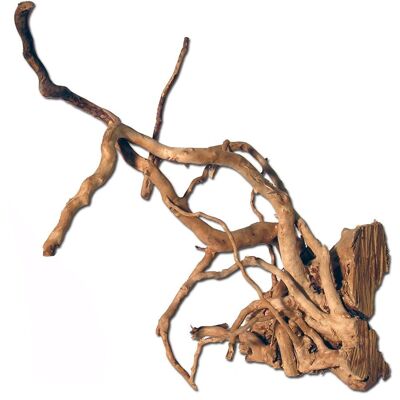 Dekoracja z Drewna Amtra - Naturalne Drewno do Aquascaping - 20-25cm Dekoracja z Drewna Amtra - Naturalne Drewno do Aquascaping - 20-25cm