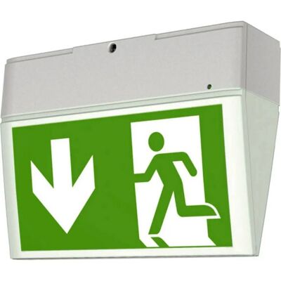 Ceag Notlicht LED - IP54, 3h, Wand/Deckenmontage Ceag Notlicht LED - IP54, 3h, Wand/Deckenmontage