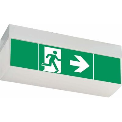 Ceag LED-Notausgangslicht - Wand- & Deckenmontage - 3h Ceag LED-Notausgangslicht - Wand- & Deckenmontage - 3h