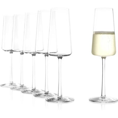 Verres à champagne Power de Stölzle - Lot de 6, 240ml Verres à champagne Power de Stölzle - Lot de 6, 240ml