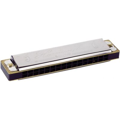 Goki Mundharmonika - 16 Töne - 13cm - Musikinstrument für Kinder Goki Mundharmonika - 16 Töne - 13cm - Musikinstrument für Kinder
