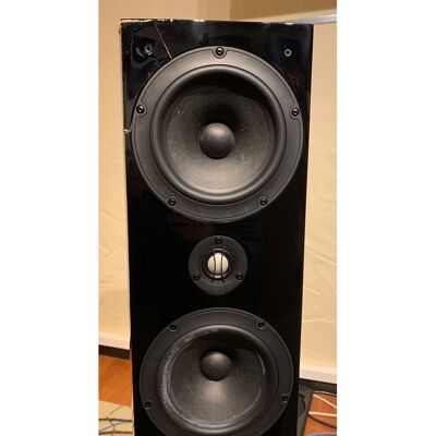 ASW Genius 410 Schwarzer Standlautsprecher - Standlautsprecher ASW Genius 410 Schwarzer Standlautsprecher - Standlautsprecher